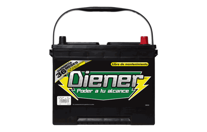 DIENER D-24R-420 